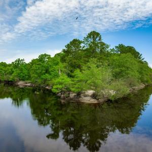 Photo #29 of Sand Plant Rd., Nichols, SC 66.0 acres