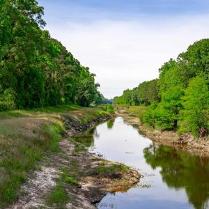 Photo #12 of Sand Plant Rd., Nichols, SC 66.0 acres