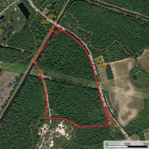 Photo #1 of Sand Plant Rd., Nichols, SC 66.0 acres