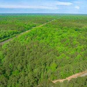 Photo #21 of Sand Plant Rd., Nichols, SC 66.0 acres