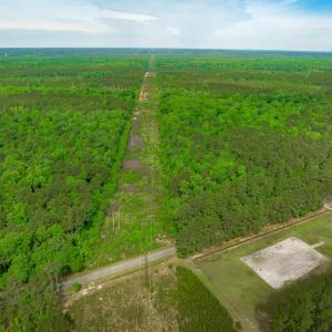 Photo #6 of Sand Plant Rd., Nichols, SC 66.0 acres