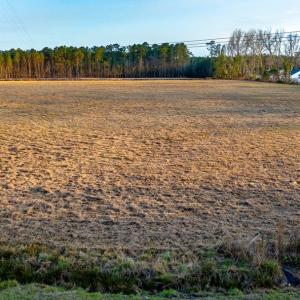 Photo #10 of 8.7 Acs Night Owl Ln., Conway, SC 8.7 acres