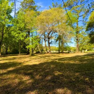 Photo #18 of 9985 Highway 17 North, McClellanville, SC 4.7 acres