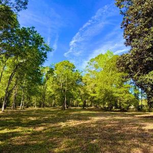 Photo #13 of 9985 Highway 17 North, McClellanville, SC 4.7 acres