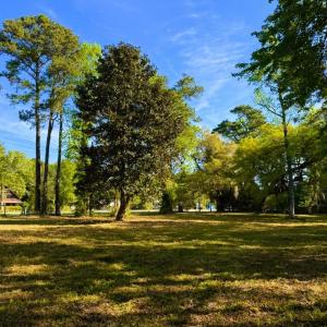 Photo #14 of 9985 Highway 17 North, McClellanville, SC 4.7 acres