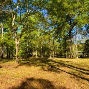 Photo #16 of 9985 Highway 17 North, McClellanville, SC 4.7 acres
