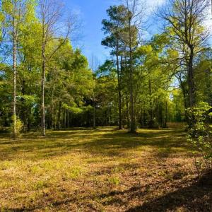 Photo #17 of 9985 Highway 17 North, McClellanville, SC 4.7 acres
