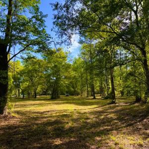 Photo #24 of 9985 Highway 17 North, McClellanville, SC 4.7 acres