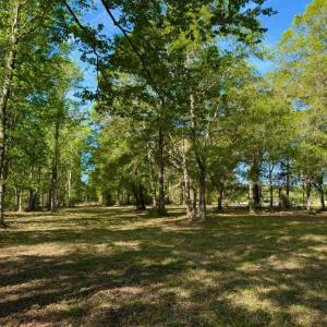 Photo #12 of 9985 Highway 17 North, McClellanville, SC 4.7 acres