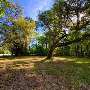 Photo #4 of 9985 Highway 17 North, McClellanville, SC 4.7 acres