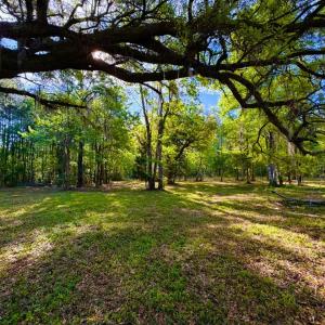 Photo #5 of 9985 Highway 17 North, McClellanville, SC 4.7 acres