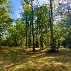 Photo #26 of 9985 Highway 17 North, McClellanville, SC 4.7 acres