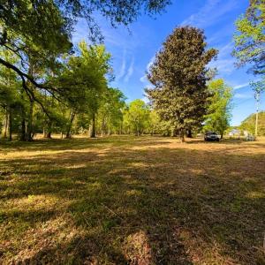 Photo #6 of 9985 Highway 17 North, McClellanville, SC 4.7 acres