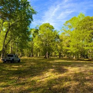 Photo #32 of 9985 Highway 17 North, McClellanville, SC 4.7 acres