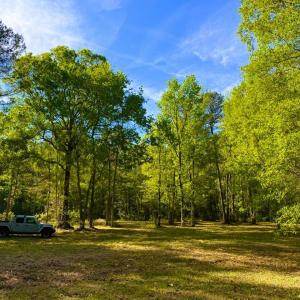 Photo #30 of 9985 Highway 17 North, McClellanville, SC 4.7 acres