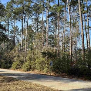 Photo #2 of 867 Kings River Rd., Pawleys Island, SC 0.5 acres