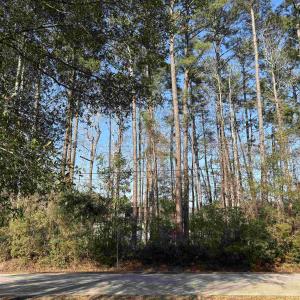 Photo #3 of 867 Kings River Rd., Pawleys Island, SC 0.5 acres