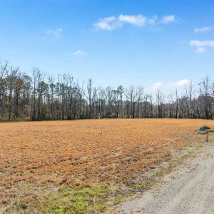 Photo #6 of Lot 4 Sheila Dr., Johnsonville, SC 7.1 acres