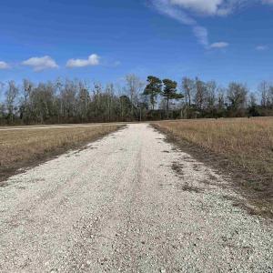 Photo #7 of Lot 4 Sheila Dr., Johnsonville, SC 7.1 acres