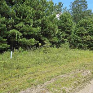 Photo #4 of TBD Lot 8 Powell Lane, Loris, SC 1.0 acres