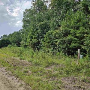 Photo #5 of TBD Lot 8 Powell Lane, Loris, SC 1.0 acres