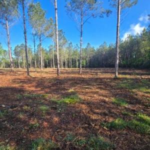 Photo #1 of 1513 Oakdale Rd., Loris, SC 0.5 acres