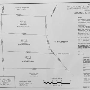 Photo #7 of TBD Bucksport Rd., Conway, SC 1.9 acres