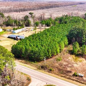 Photo #8 of TBD Highway 701 South, Conway, SC 2.5 acres