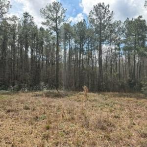 Photo #4 of School Bus Rd, Jamestown, SC 29.5 acres