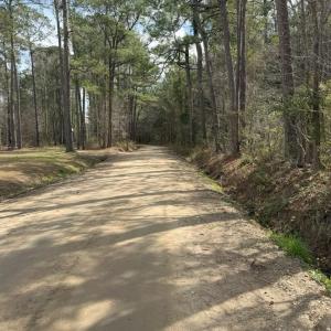 Photo #3 of School Bus Rd, Jamestown, SC 29.5 acres