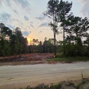 Photo #1 of TBD Lawson Rd., Loris, SC 1.3 acres
