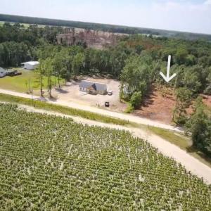 Photo #2 of TBD Lawson Rd., Loris, SC 1.3 acres