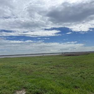 Photo #1 of Lot 177 Cravens St., Georgetown, SC 0.1 acres