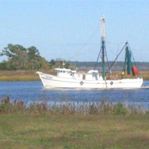 Photo #7 of Lot 177 Cravens St., Georgetown, SC 0.1 acres