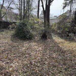 Photo #3 of 1217 Ellington St., Myrtle Beach, SC 0.3 acres