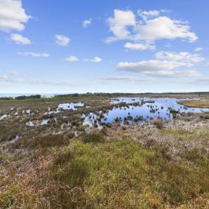 Photo #27 of 2862 Vanderbilt Blvd., Pawleys Island, SC 1.4 acres