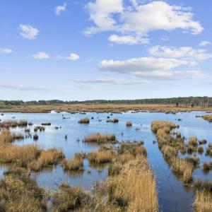 Photo #13 of 2862 Vanderbilt Blvd., Pawleys Island, SC 1.4 acres