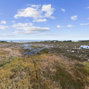 Photo #23 of 2862 Vanderbilt Blvd., Pawleys Island, SC 1.4 acres