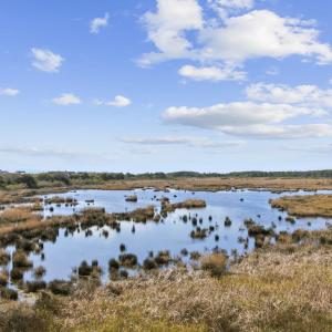 Photo #25 of 2862 Vanderbilt Blvd., Pawleys Island, SC 1.4 acres