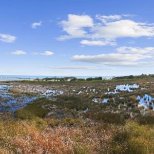 Photo #24 of 2862 Vanderbilt Blvd., Pawleys Island, SC 1.4 acres