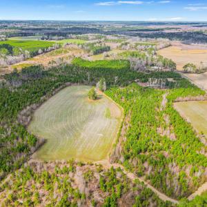 Photo #14 of TBD Muddy Creek Rd., Johnsonville, SC 86.5 acres