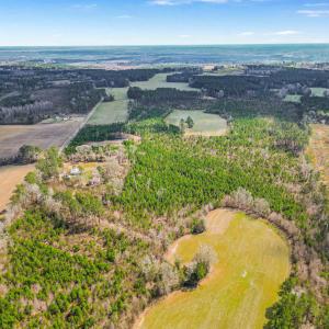 Photo #3 of TBD Muddy Creek Rd., Johnsonville, SC 86.5 acres