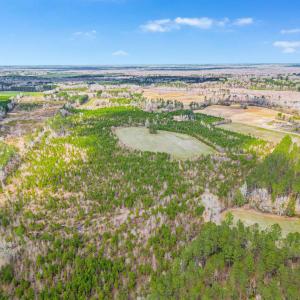 Photo #15 of TBD Muddy Creek Rd., Johnsonville, SC 86.5 acres