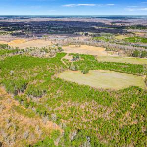 Photo #26 of TBD Muddy Creek Rd., Johnsonville, SC 86.5 acres