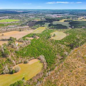 Photo #28 of TBD Muddy Creek Rd., Johnsonville, SC 86.5 acres
