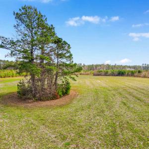 Photo #21 of TBD Muddy Creek Rd., Johnsonville, SC 86.5 acres