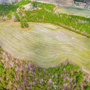 Photo #18 of TBD Muddy Creek Rd., Johnsonville, SC 86.5 acres