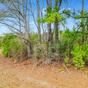 Photo #20 of TBD Muddy Creek Rd., Johnsonville, SC 86.5 acres