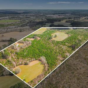 Photo #27 of TBD Muddy Creek Rd., Johnsonville, SC 86.5 acres