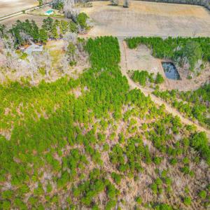 Photo #9 of TBD Muddy Creek Rd., Johnsonville, SC 86.5 acres